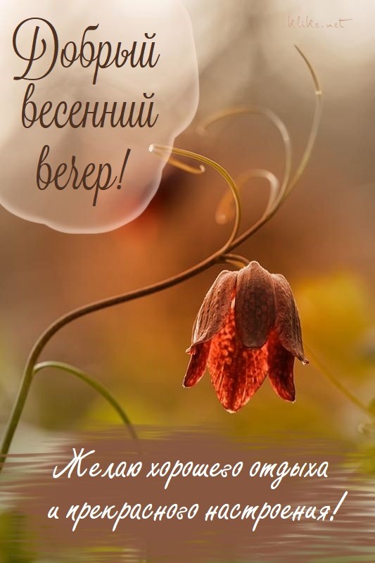 Приятный весенний вечер