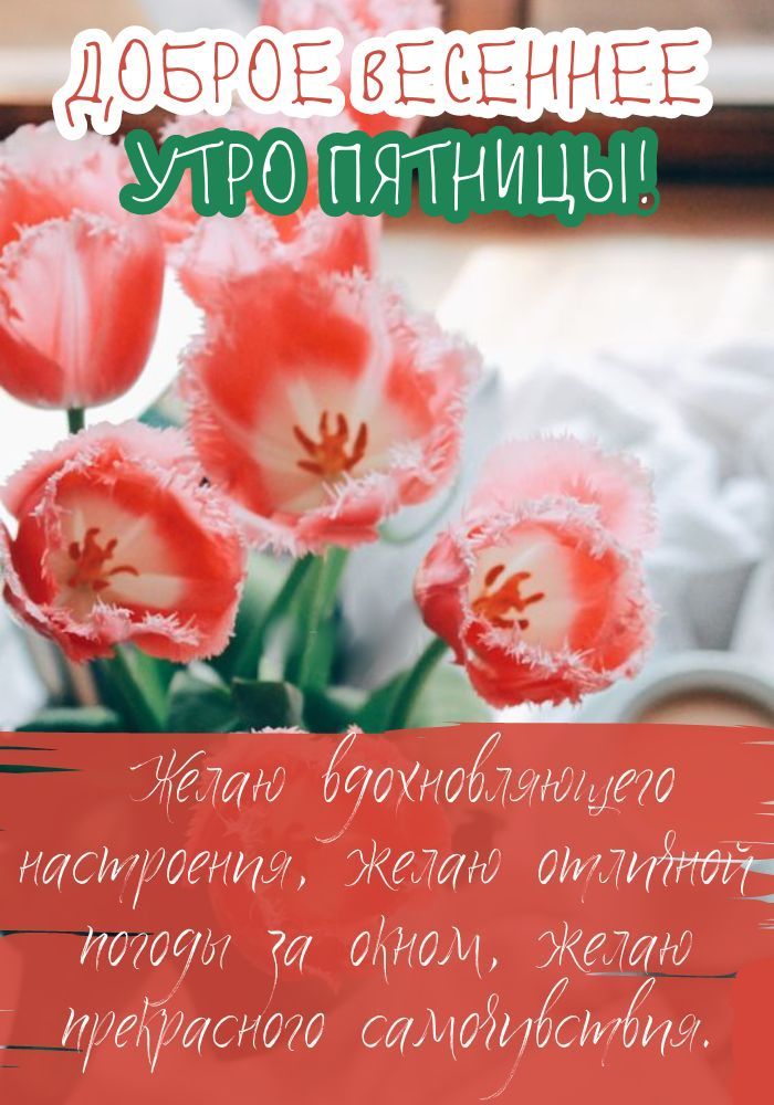 Доброго утра! Хорошего дня! 😊☺😉 | С