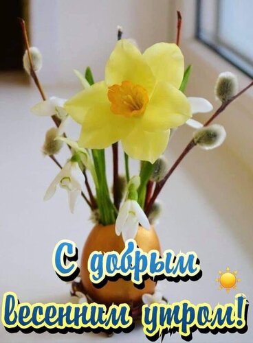 Доброе утро! 🌸 Счастливой вам Весны! 🌺 С Добрым весенним