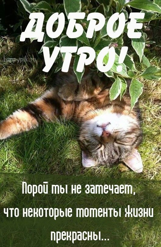 Доброе утро! Сегодня Международный день