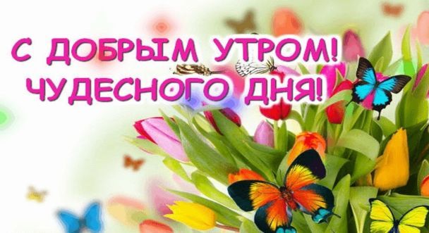 Елицы: ДОБРОЕ УТРО, БЛАГОСЛОВЕННОГО ДНЯ, ДОРОГИЕ ДРУЗЬЯ!