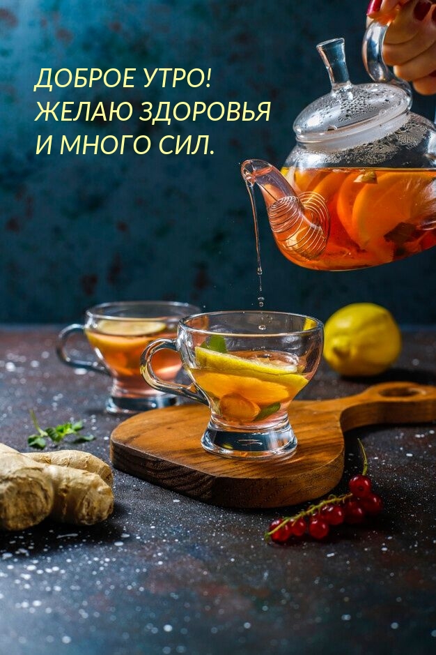 Мудрость жизни