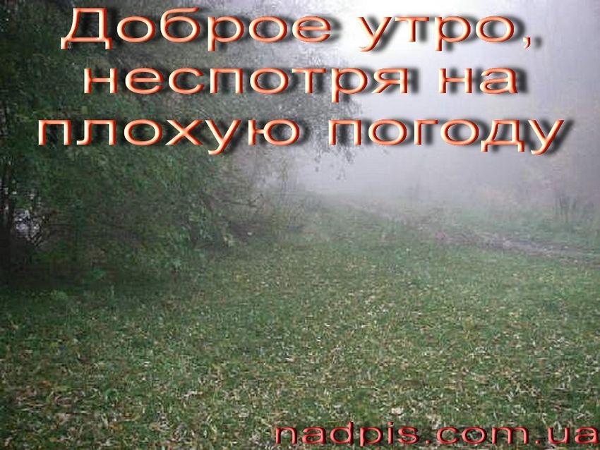 Смешные картинки Доброе утро в любую погоду прикольные с