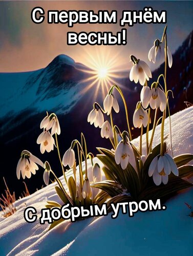 Доброе утро! С первым днем весны! С первым утром весны