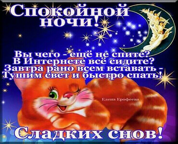 Спокойной ночи! Сладких снов! Красивые