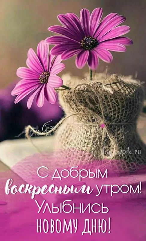 ВСЕМ, ВСЕМ ДОБРОЕ УТРО!!! Хорошего всем