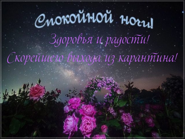 sendpic.com.ua