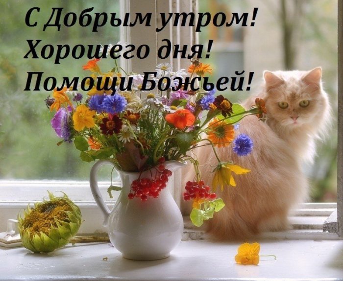 🌸✨🌸 С ДОБРЫМ АПРЕЛЬСКИМ УТРОМ