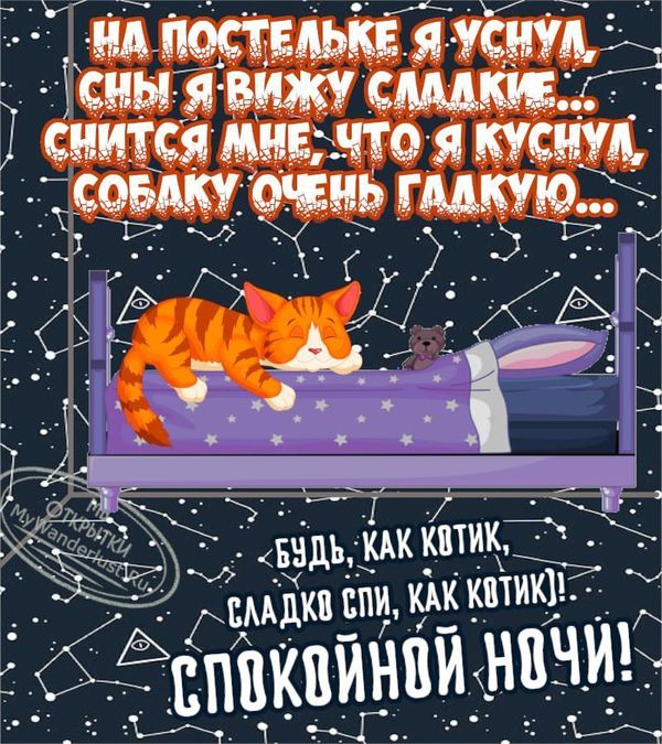 Прикольные картинки Спокойной ночи! 🔥 Прикольные