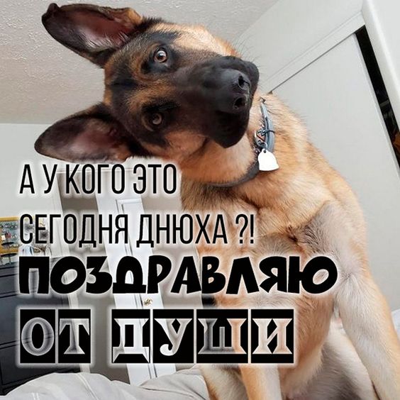 Прикольные открытки С Днем Рождения! для подруги 