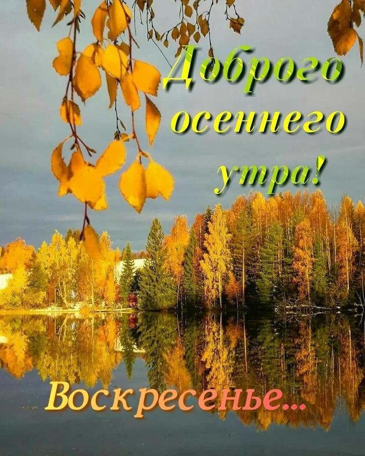 Воскресенье: доброе утро: картинки