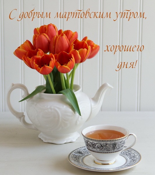 🌸✨🌸 С ДОБРЫМ МАРТОВСКИМ УТРОМ 🌸✨🌸 Утро за прозрачной