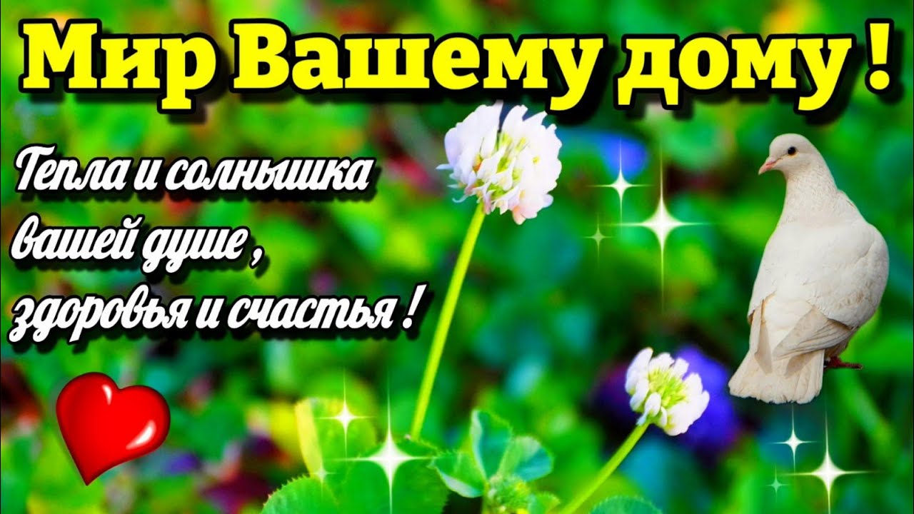 Доброе утро, друзья мои ! 🌞 Всем