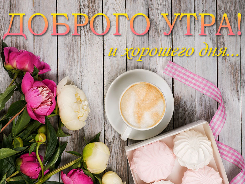 С добрым утром, хорошего дня