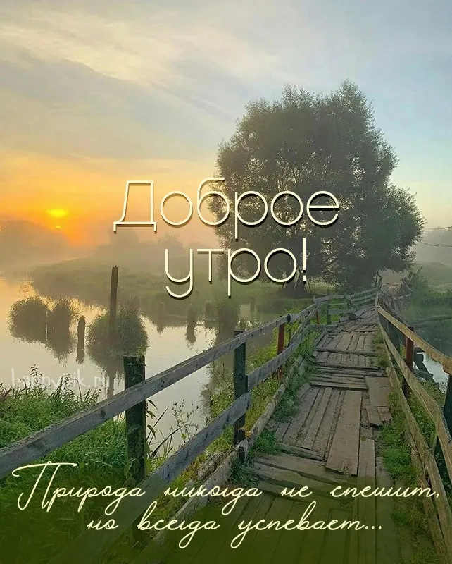 Доброе утро. ##утро#доброе#рассвет