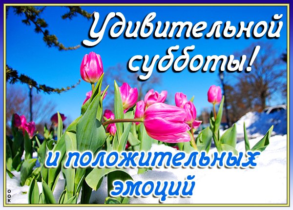 Винтажная картинка с добрым утром субботы