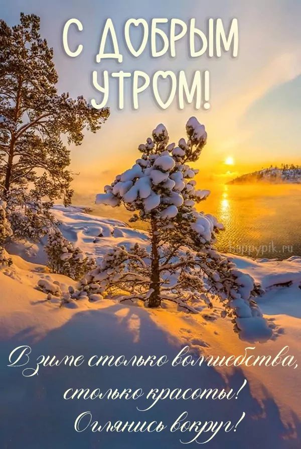 💗☕️Доброе Утро! Хорошего Дня!🌷Для Друзей! Заряд Позитива