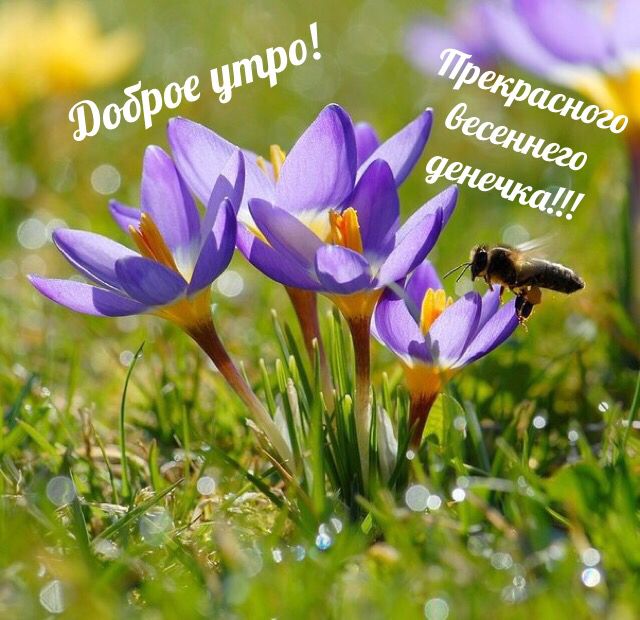 Доброго утра! Хорошего дня! 😊☺😉 | С добрым утром