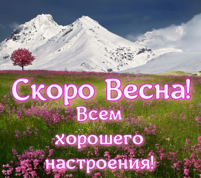 Коллекция Добрых утр. Скоро Весна. | Nika Koen | Дзен