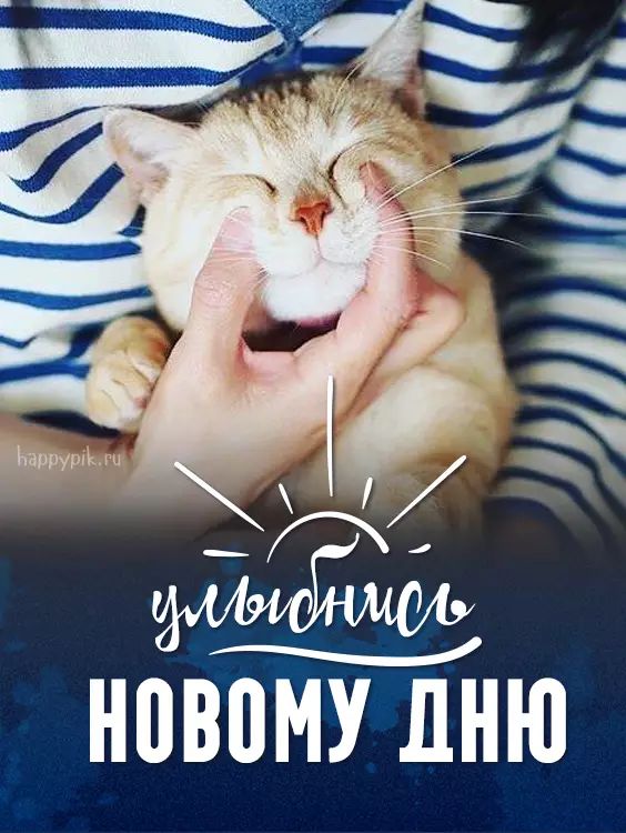 Улыбнись новому дню доброе утро 