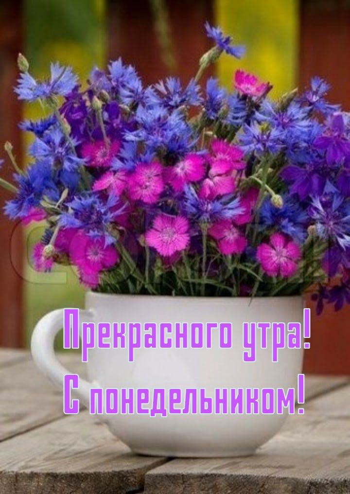 🌺☕️ Ё