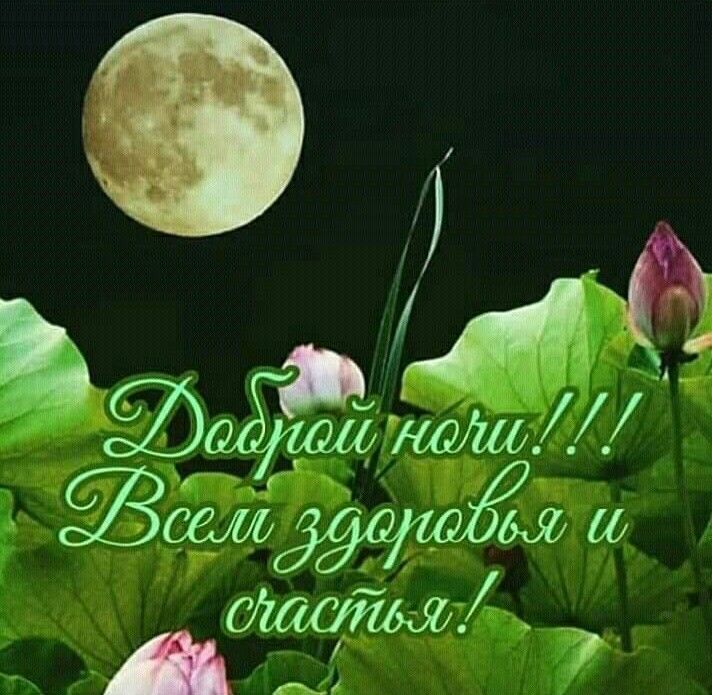 Добрый вечер! ###МнеМалиново | TikTok