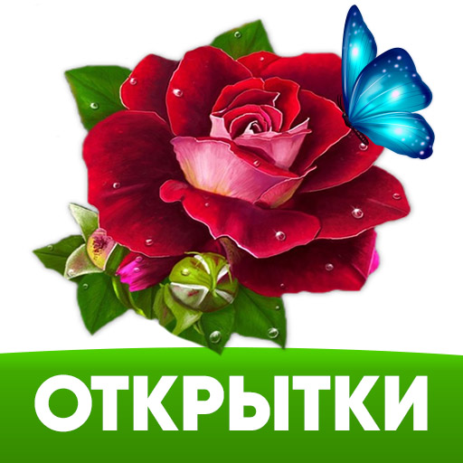 Картинки