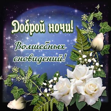 Доброй ночи! Добрых снов!