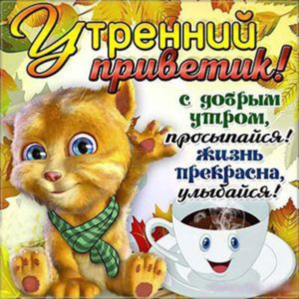 Доброе утро/Good morning