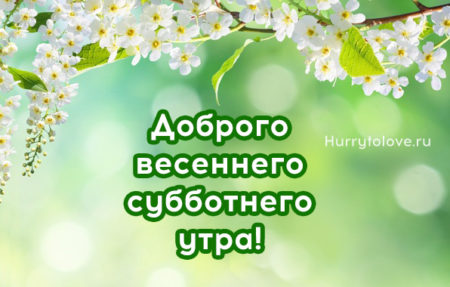 Открытки Доброго утра! весной 