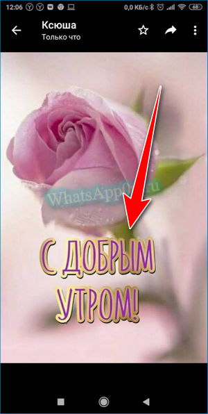 Набор стикеров Доброе утро 4 для WhatsApp