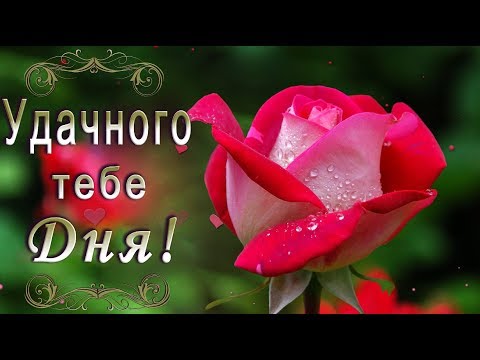 Чудесные открытки с добрым утром 