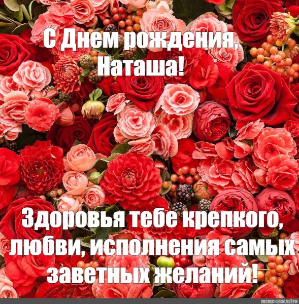 Наташа! С днем рождения! — НЕМЦОВ МОСТ