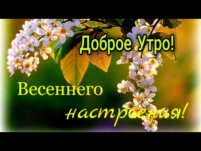 Доброе утро в субботу