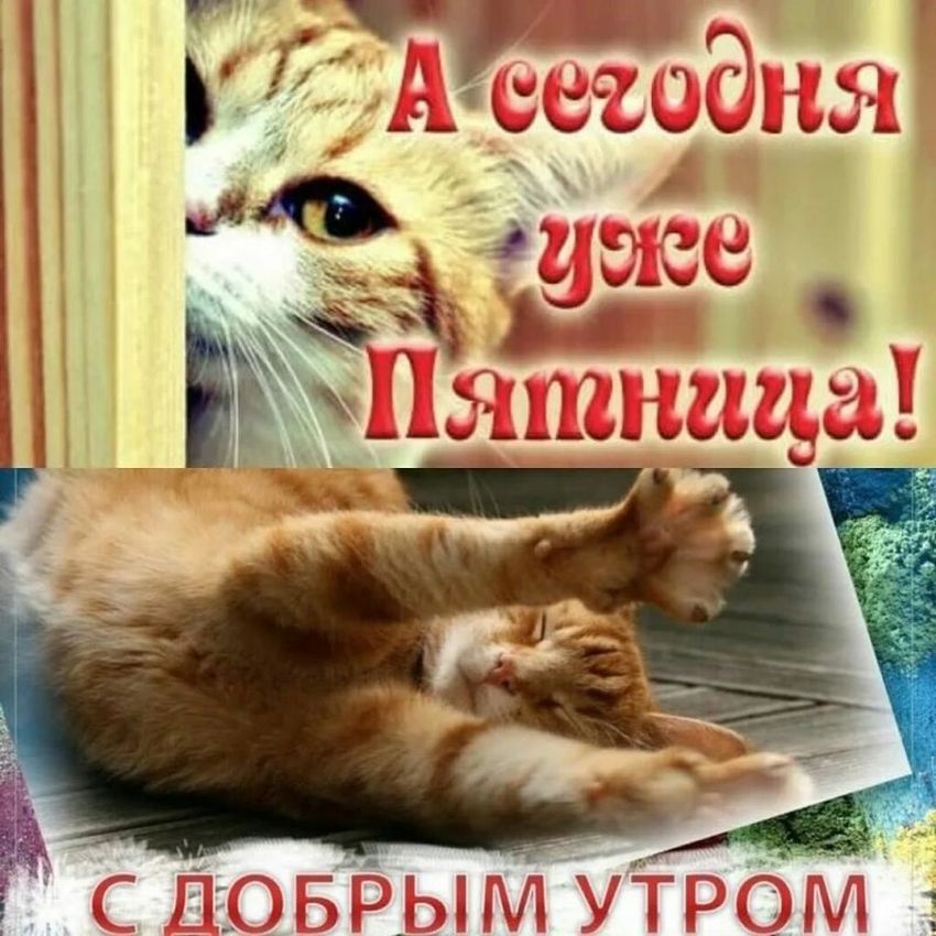 Анимированная открытка Доброе утро! С последней пятницей ноября!