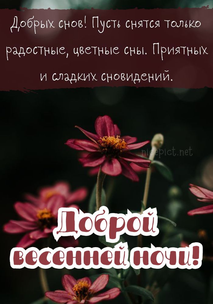 Картинки спокойной ночи и доброе утро скачать бесплатно