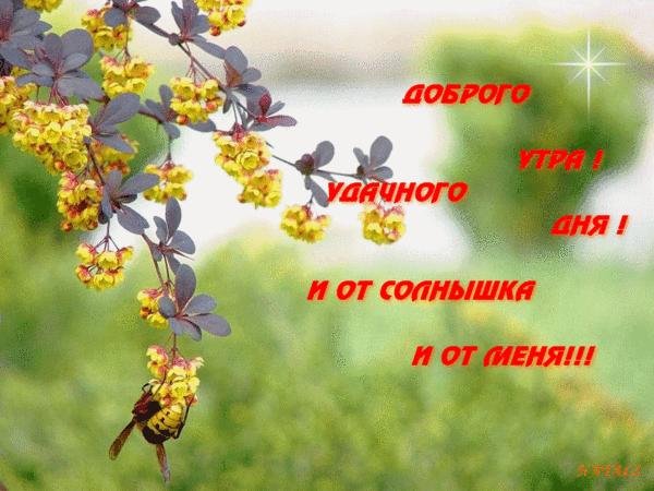 Доброе утро семья 