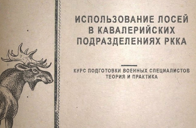 Почему медведь боится лося? | Журнал натуралист | Дзен