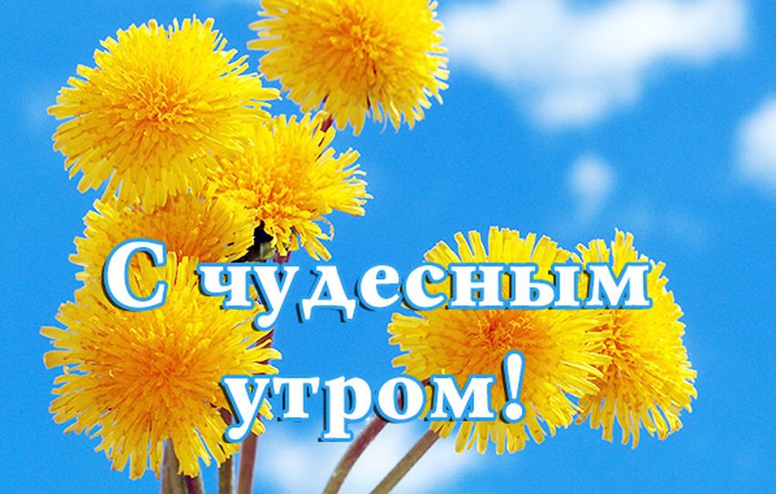 С добрым утром вторника. На душе весна. | Happy wishes, Words