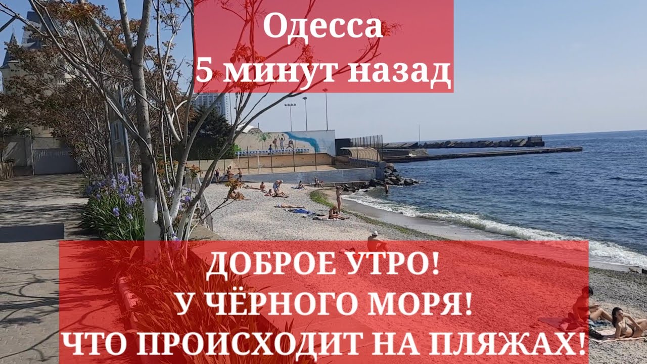 Утро на море картинки