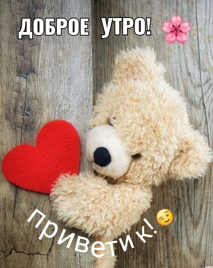 Доброе Утро Медвежонок Мой | TikTok