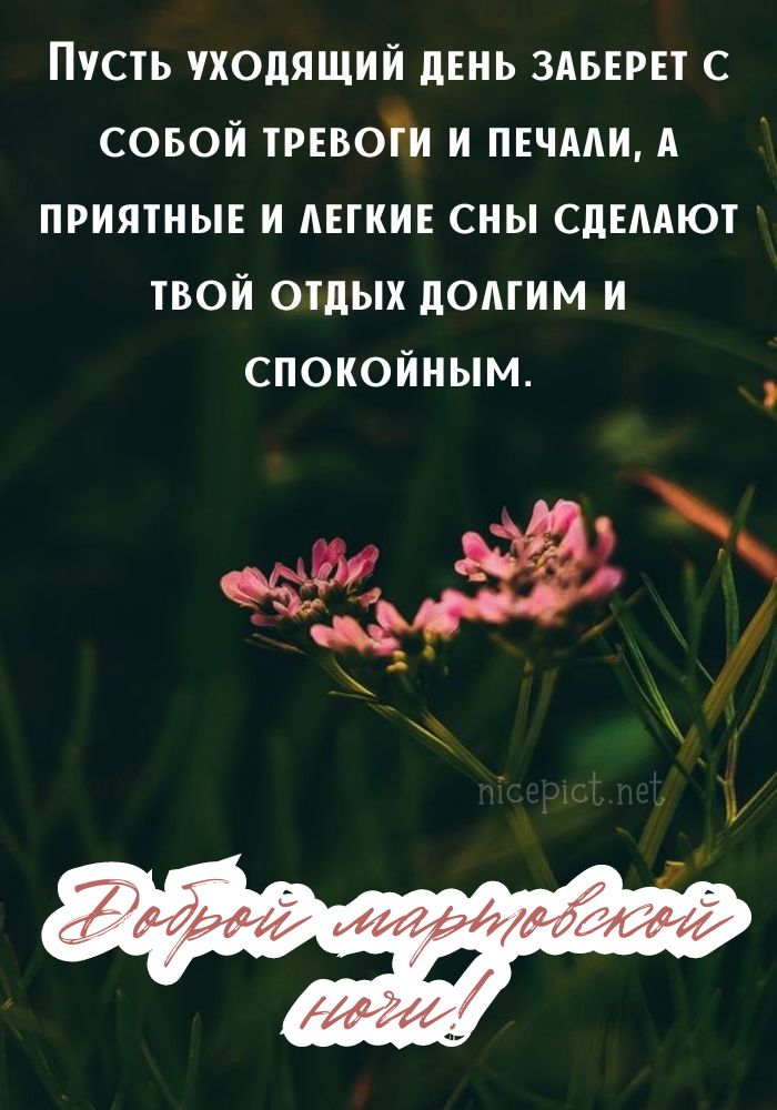 Открытка Спокойной Ночи