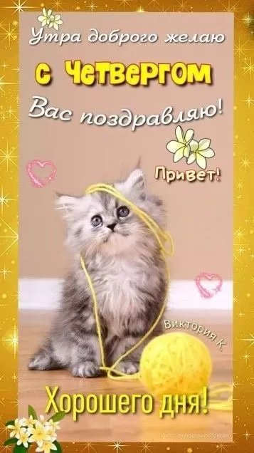 Спеши любить