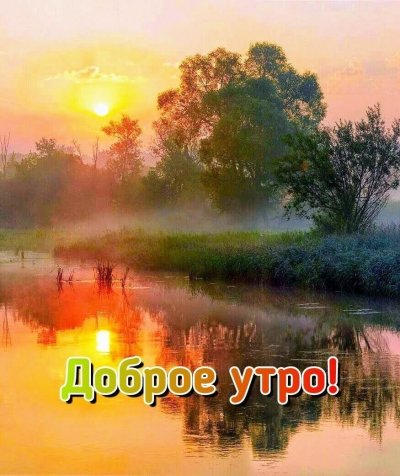 С Добрым Утром Природа Пожелания | TikTok