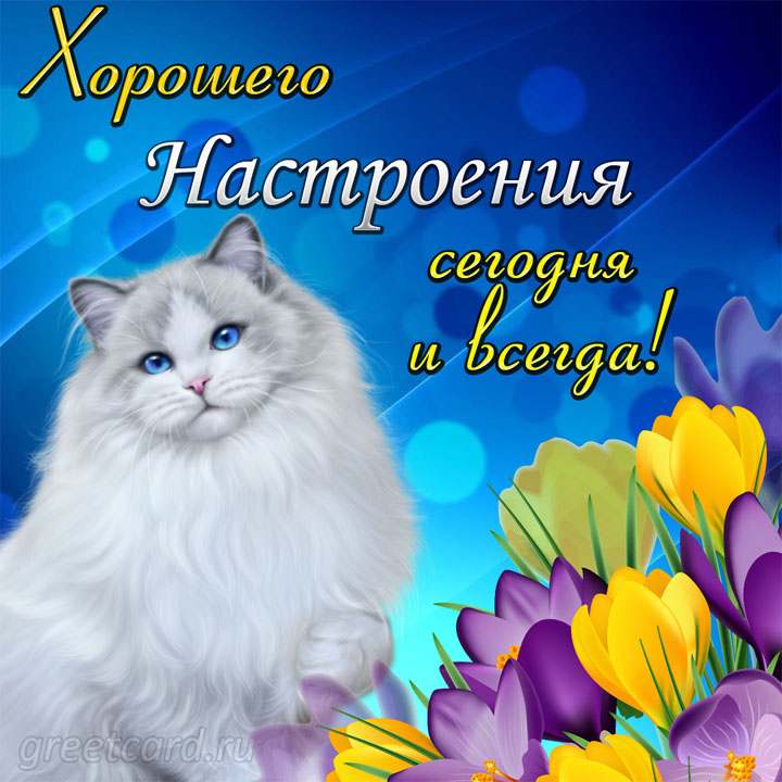 💌☀️😄 Картинки Хорошего дня