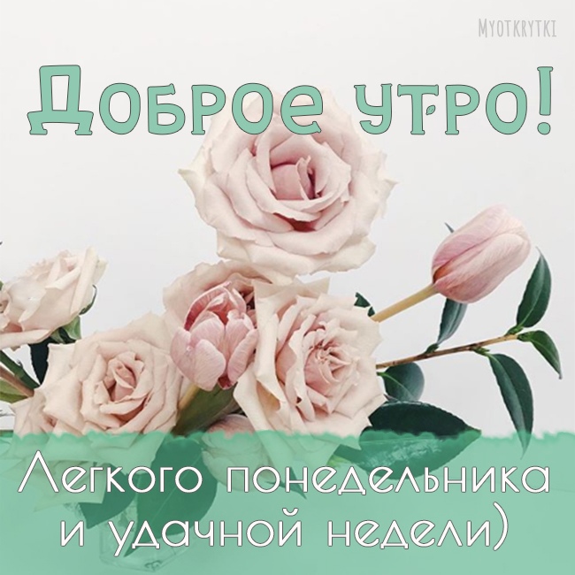 Доброе зимнее утро! Улыбнитесь новому