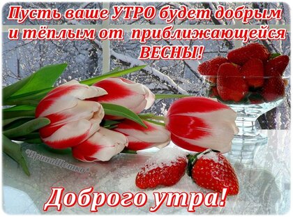 Открытки доброе утро открытки доброе утро любимый мужчина