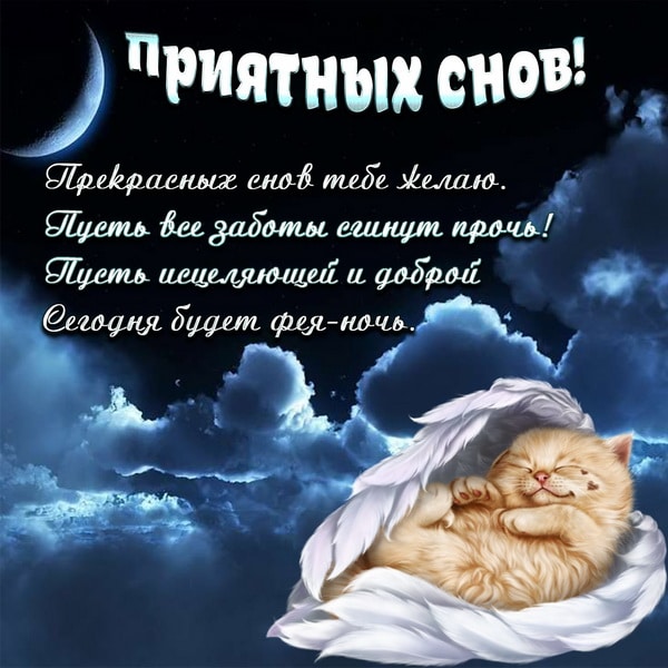 Доброй ночи и прекрасных снов! ✨️💫🌙