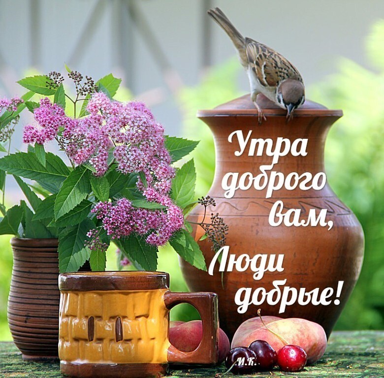 🌺☕️ С Добрым Утром Четверга! Позитивчик для Друзей!