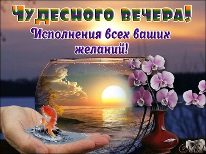 Уютного вечера!